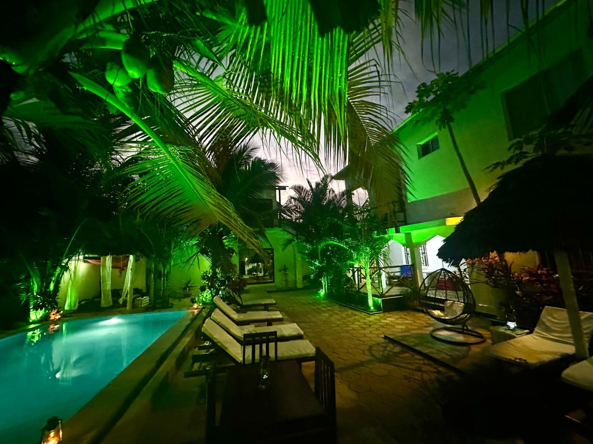 Cezere The Palm Hotel Paje Eksteriør bilde