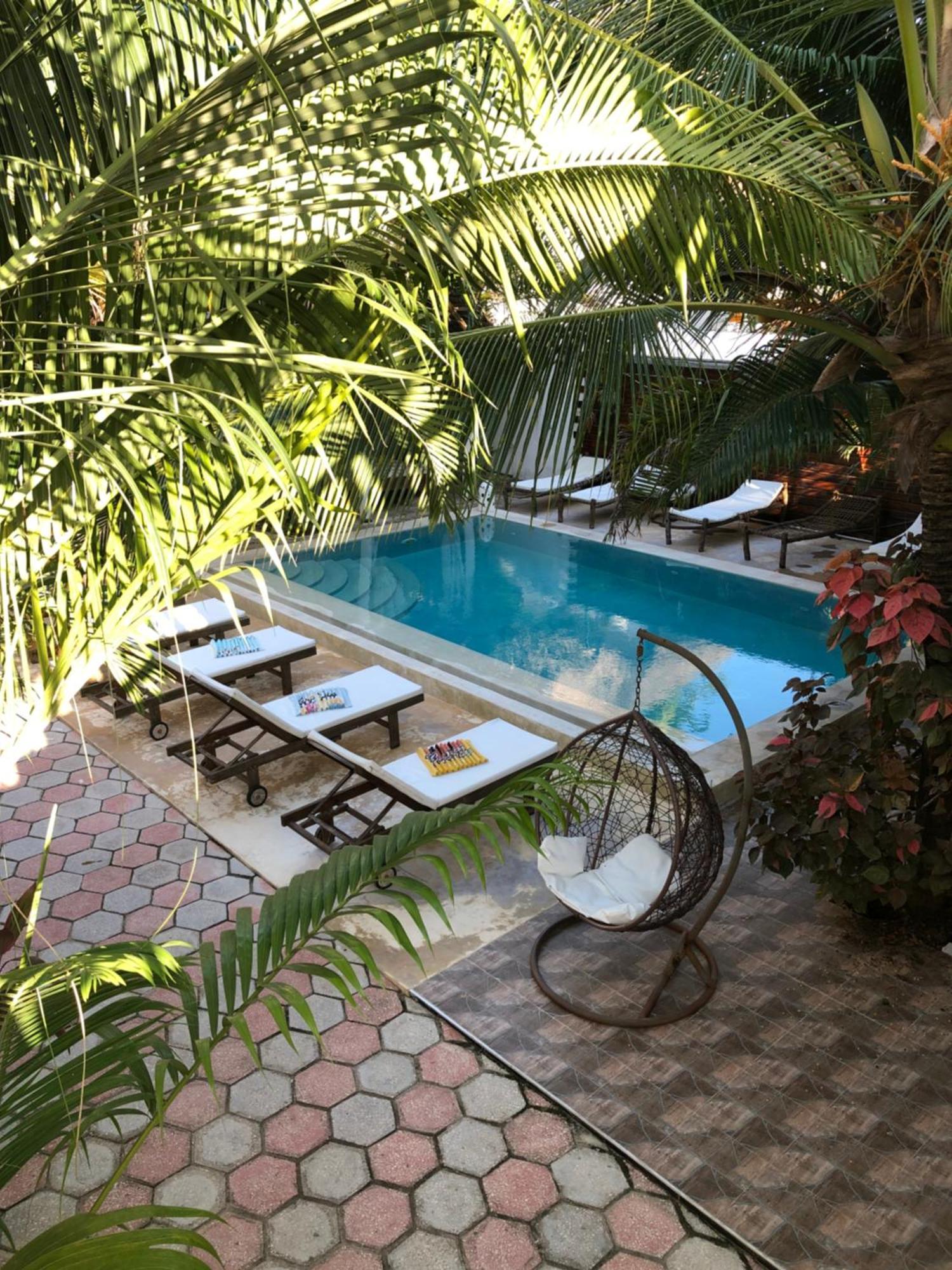 Cezere The Palm Hotel Paje Eksteriør bilde